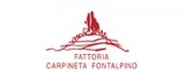 Fattoria Carpineta Fontalpino