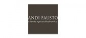 Andi Fausto