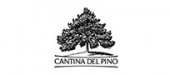 Cantina del Pino