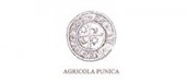 Agricola Punica