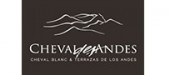 Cheval des Andes